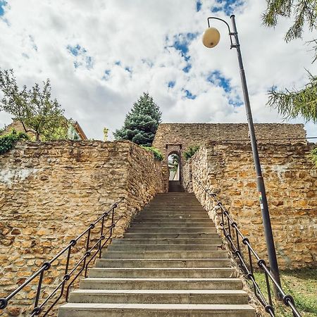 Skodova Apartments Přerov Dış mekan fotoğraf